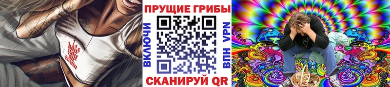 Псилоцибиновые грибы ЛСД  shop какой сайт  Шимановск 